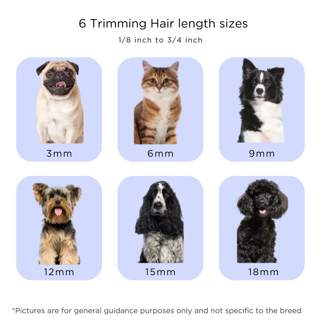 Dog And Cat Grooming Kit With Vacuum For Fur Removal Low Noise Adjustable Speed