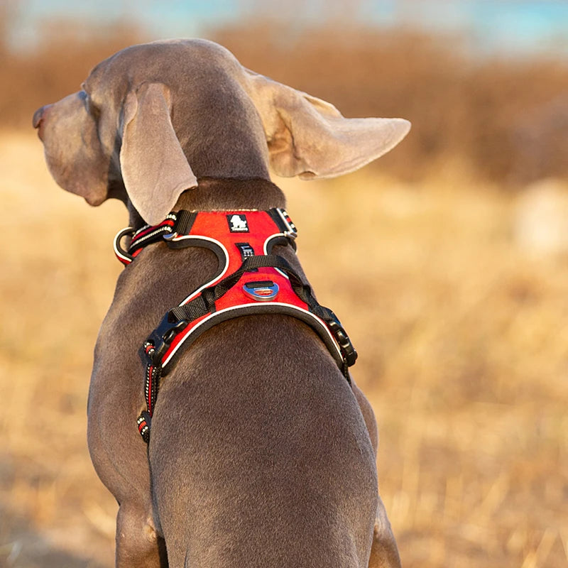 TRUELOVE Reflective Nylon Dog Harness No Pull Adjustable Vehicle Safety