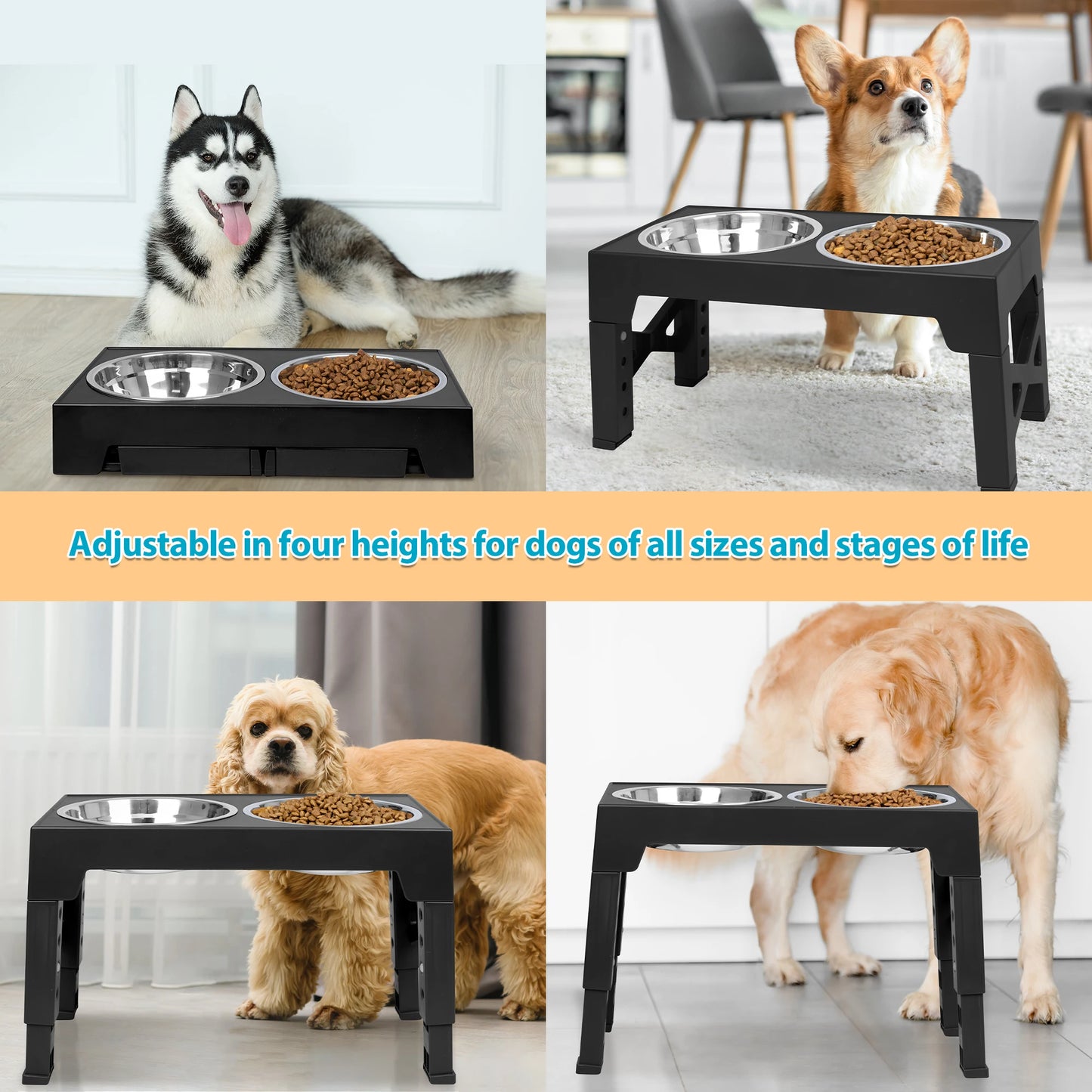 Elevated Dog Bowls With Two Stainless Steel Bowls And Adjustable Heights