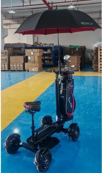 AESWGOF 2400W Electric Golf Cart Foldable 18 Hole Scooter