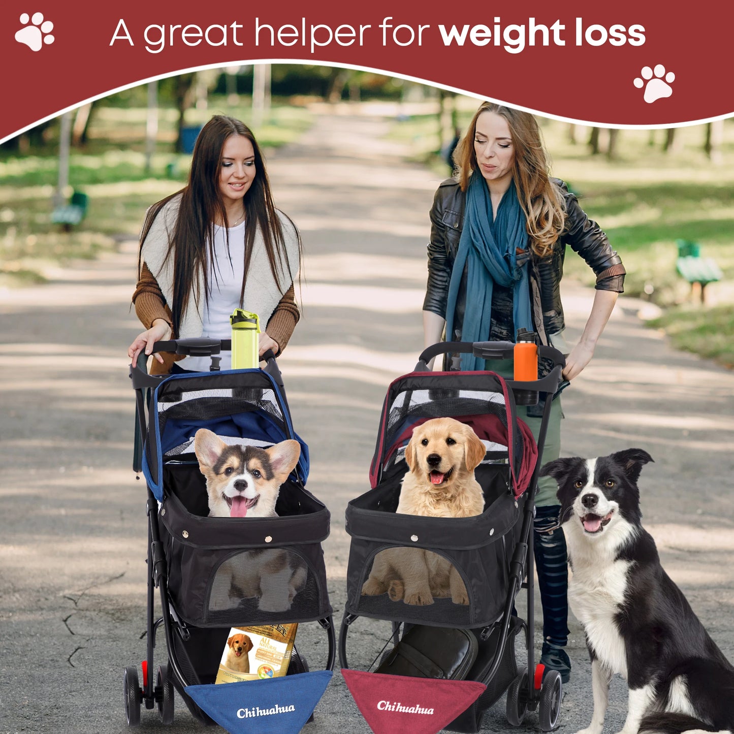 Chihuahua Pet Stroller Foldable For Dogs And Cats 3 Wheels