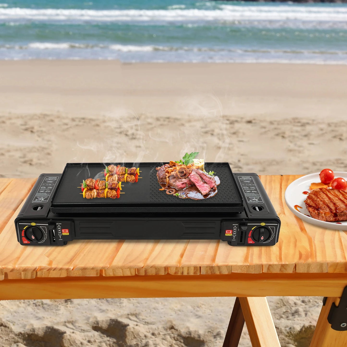 2500W Portable Camping Stove Two Burner With Baking Tray Case