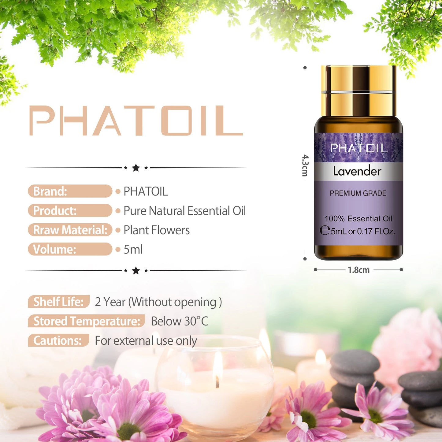 PHATOIL Pure Essential Oils Gift Set 15 Pack Eucalyptus Lavender