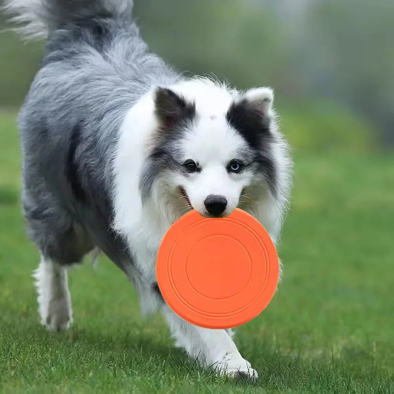 Durable Chewable Frisbee Toy For Dogs Tear Resistant Rubber Disc