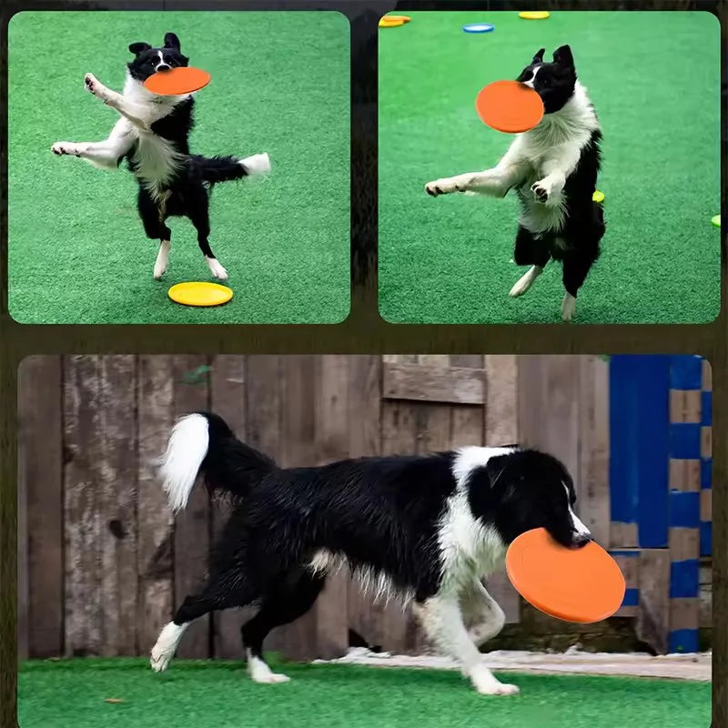 Durable Chewable Frisbee Toy For Dogs Tear Resistant Rubber Disc