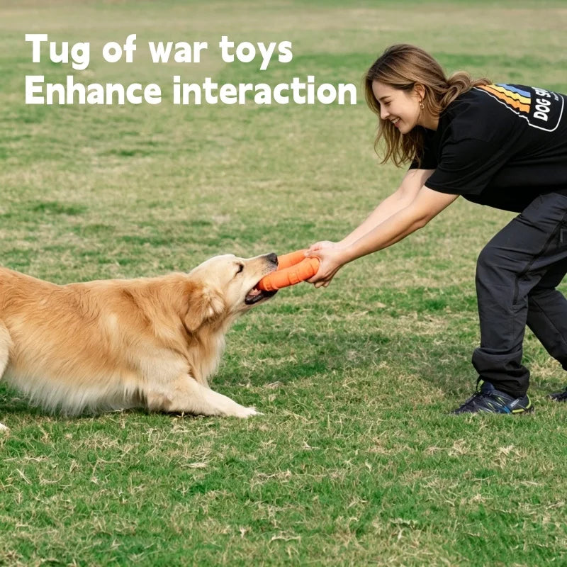 Floating Dog Frisbee Tug Toy 3 In 1 Bite Resistant