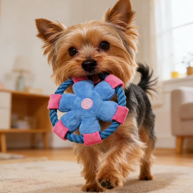 Cartoon Flower Cotton Rope Frisbee Dog Toy Squeaky Interactive Toy