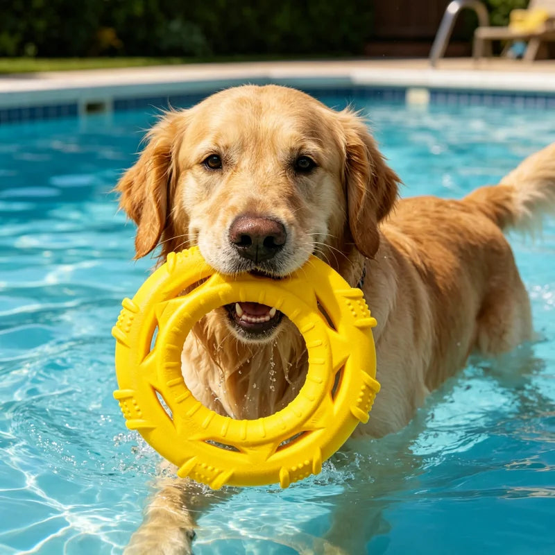 Floating Dog Frisbee Tug Toy 3 In 1 Bite Resistant